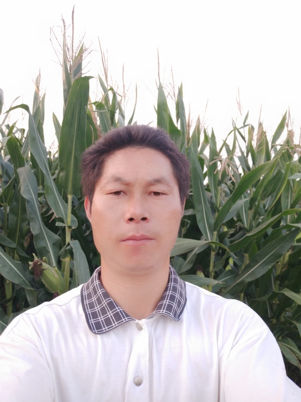 四海游龙的第一张照片--马尾交友网