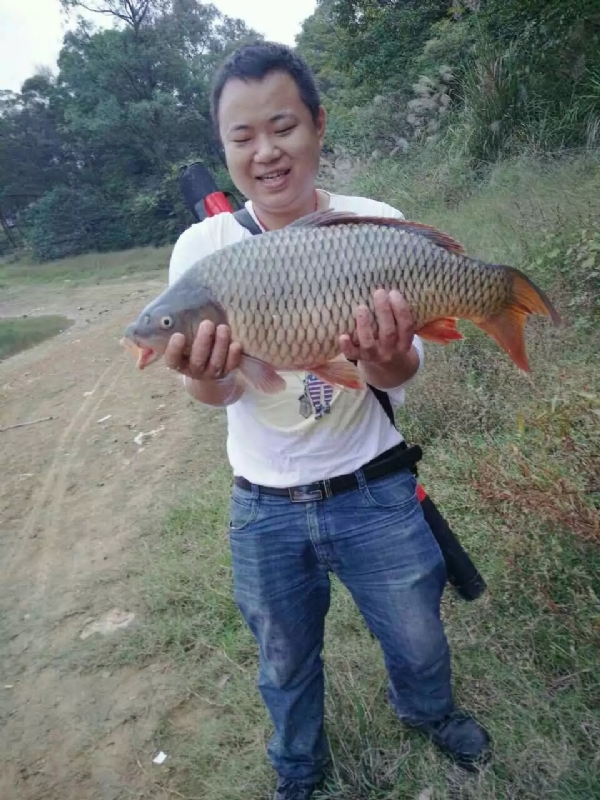 迷路的男人的第一张照片--马尾交友网