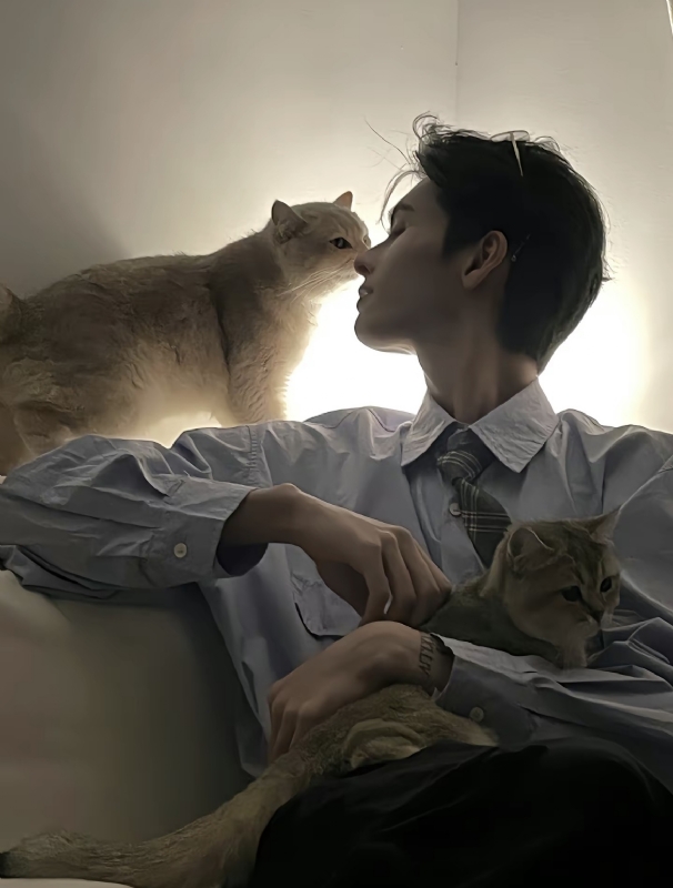 怪猫的第一张照片--马尾交友网