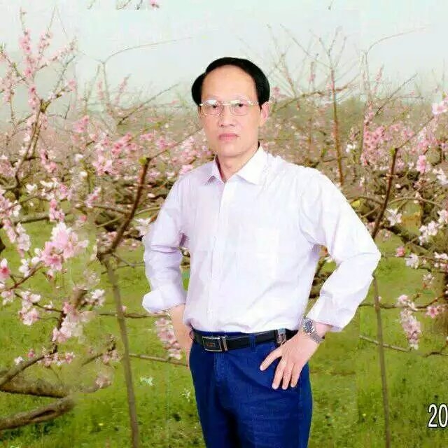 枫叶的第一张照片--马尾交友网